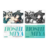 Acrylic Display Insert Set
