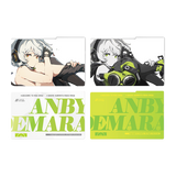 Acrylic Display Insert Set